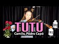 Camilo, Pedro Capó - Tutu violin cover