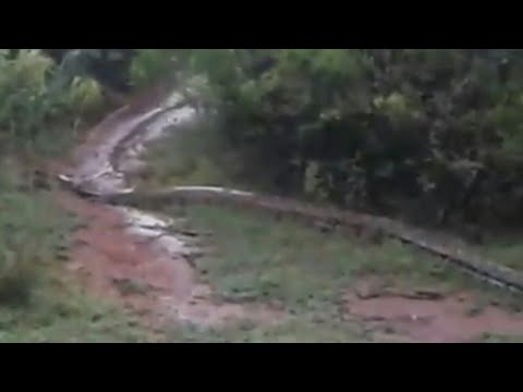Giant Anaconda Snake in Tamil Nadu / Tirunelveli Kadayanallur Forest | Village Planet - HD