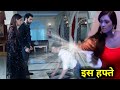 Naagin 5 Big Updates - FULL PROMO FULL Story - NAAGIN 5 - नागिन 5 - Veer & Bani - Colors Tv