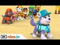 Paw Patrol | Pups Save a Frozen Flounder | Nick Jr. UK