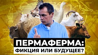 Как живет фермер-кочевник?  Чудо-ферма Ринальдо Маллямова