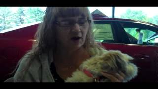 Chevrolet Dealership Jackson Michigan