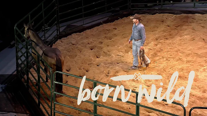 Training A Wild Horse In An Hour | 3pm