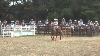 ‪#‎barrelracing