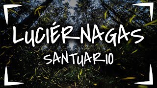 SANTUARIO DE LAS LUCIERNAGAS GUIA COMPLETA ► ¿COMO LLEGAR, QUE HAY? ► Nanacamilpa Tlaxcala