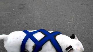 HPIM0615.avi