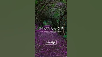 أجمل حالات واتس اب قرآن كريم بصوت جميل جدا❤️😍 Quran Status || القارئ محمد هشام