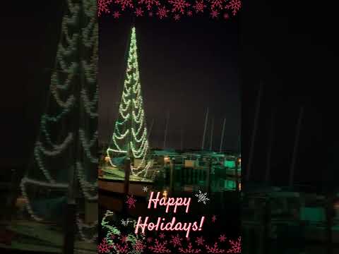 Video: Annapolis Noel Işıkları Tekne Geçit Töreni - Eastport