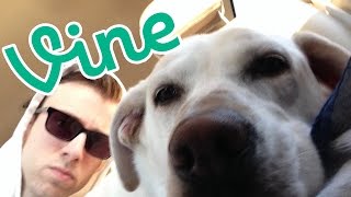 John & Niki Vine Compilation