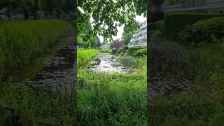 Download Lagu veenendaal Netherlands MP3