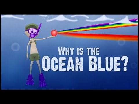 Wideo: Dlaczego niektóre morza są bardziej niebieskie niż inne?