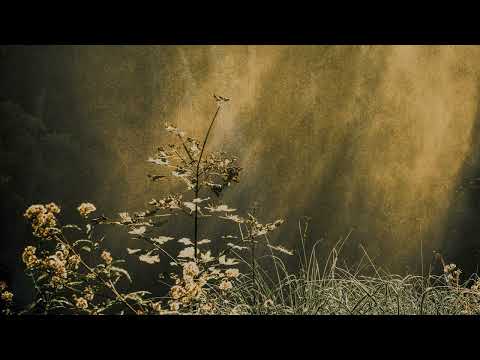 Harbors (Hollie Kenniff & Goldmund) - For One Another [Official Audio]