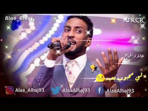 محمد بشير القطر الجديد