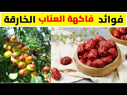 فوائد ثمار العناب او جوجوبا للصحة مش هتبطل اكل العناب بعد اليوم