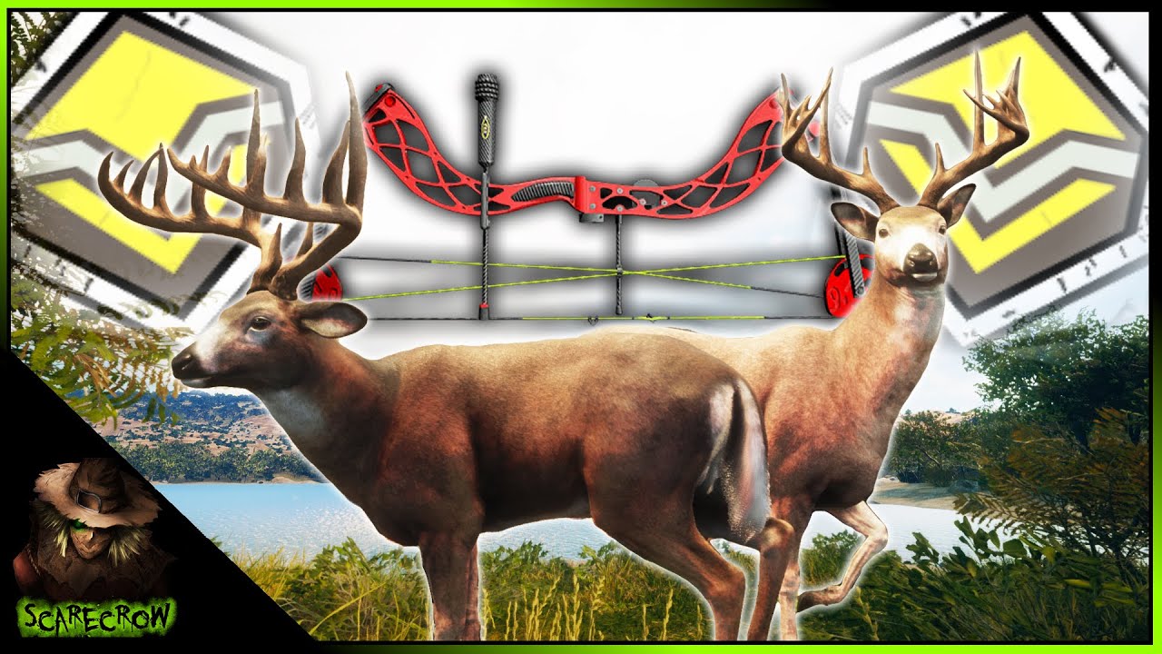 2 Diamond Whitetail With The Bow! Getting Up Close & Personal With The