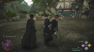 Hogwarts Legacy - Sebastian Glitch