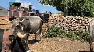 Las tierras altas del Ebro ‼️‼️