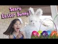 SCARY EASTER BUNNY & EGG HUNT! Haircut Prank Gone Wrong!