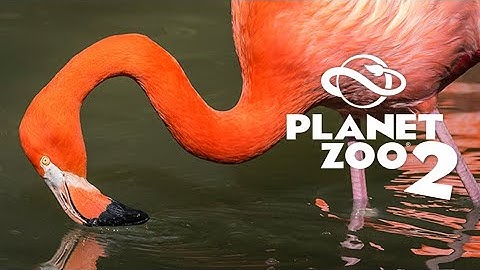 Expanded and New Behaviours - Planet Zoo 2 Speculation