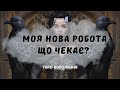 💎ЩО ЧЕКАЄ НА НОВІЙ РОБОТІ? 💎 @marichka_taro