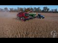 11/19/20:  "Rollin, Rollin, Rollin!" - Day 2 Doublecrop Soybean Harvest