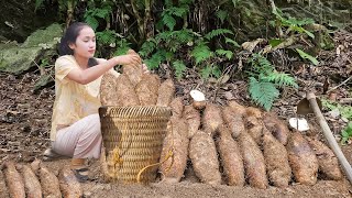 Video Full: 60 Days Harvesting CHINESE YAM, PAPAYA...Making garden / Cooking