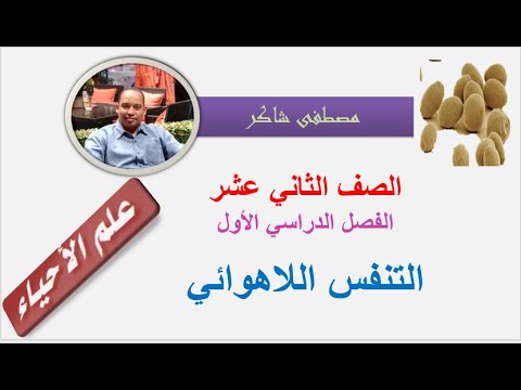 فيديو: في التخمير الكحولي ثلاثي الفوسفات؟