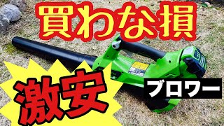 外国製【充電式ブロワー】今流行りのバッテリー式が約１万円⁉️【green works】