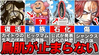 【総集編】旧四皇に残されたエグすぎる未回収の伏線・謎！２年前の四皇を徹底解説【ゆっくり解説】