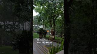 Sheltering From Rain In The Hills.