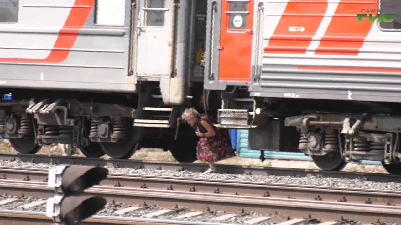 Если кошка бросилась под колеса - 94 фото