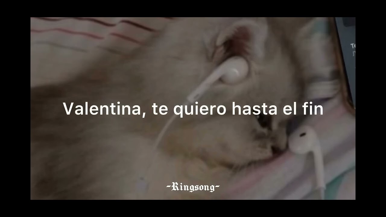 18 de noviembre de 2025