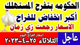 اسعار الفراخ البيضاء اليوم / سعر الفراخ البيضاء اليوم الثلاثاء 25-4-2023 في مصر جمله وقطاعي