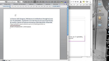 Insertion Champs (Writer et Word)