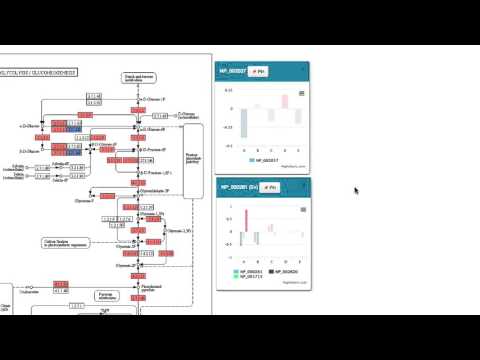 Active Data Biology – Pathway View