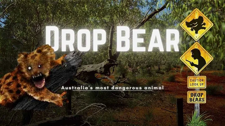Drop Bears  Australia's Most Dangerous Menace!