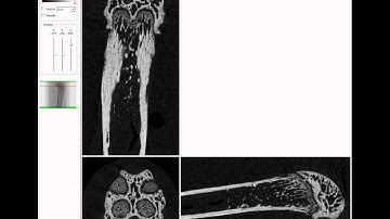 Bruker microCT training video: reorient a dataset in 3D with dataviewer