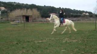 DSCF1796.AVI
