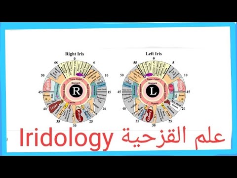 الوعي الصحي 16 لقاء مع الأخصائي سامر طوال وعلم القزحية مع نسرين التميمي