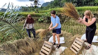 German Girls' First Time Entering the Village, Participating in the Rice Harvest Was So Exciting