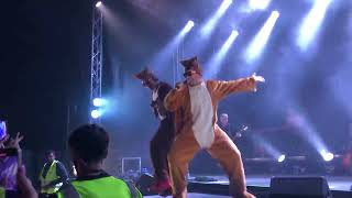 Stooka Festival 2023: Ylvis - The Fox (What Does The Fox Say?)