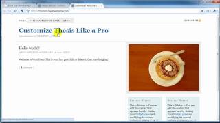 How to Edit CSS of the Thesis Theme for WordPress - Part 3