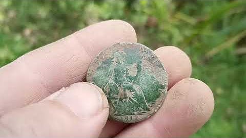 Minelab Go-Find 44 Metal Detector - Paddock & Park Hunt