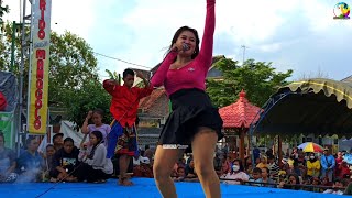 Camelia | Jandhut KRIDO MANGGOLO | D MAXS Pro Audio