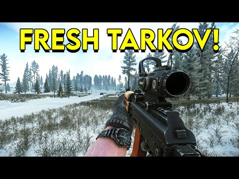 This Tarkov Wipe