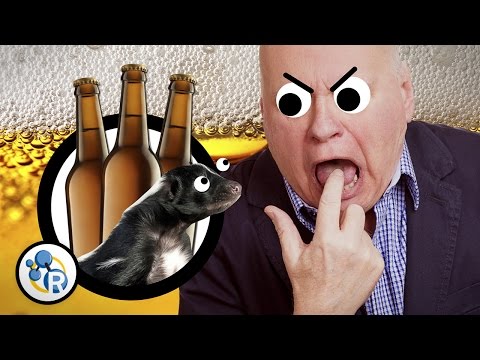 Video: Krijgen bieren skunk?