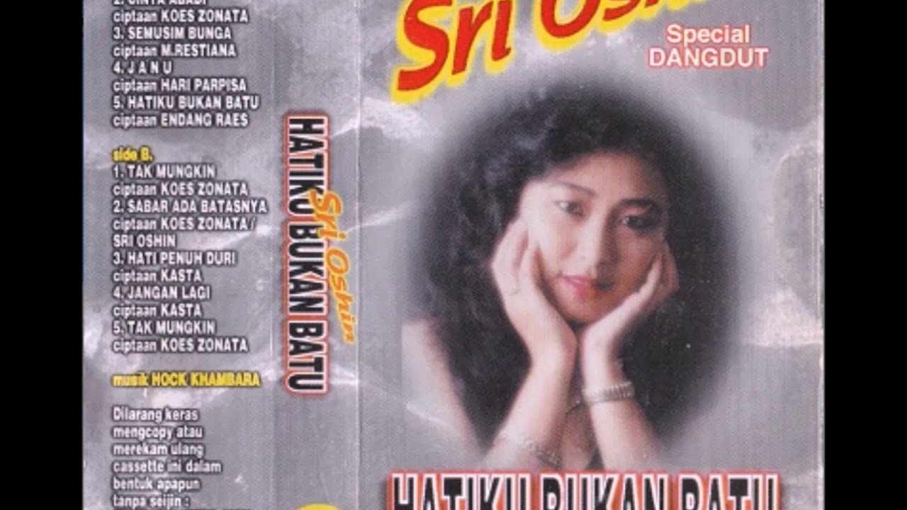 Hatiku Bukan Batu / Sri Oshin