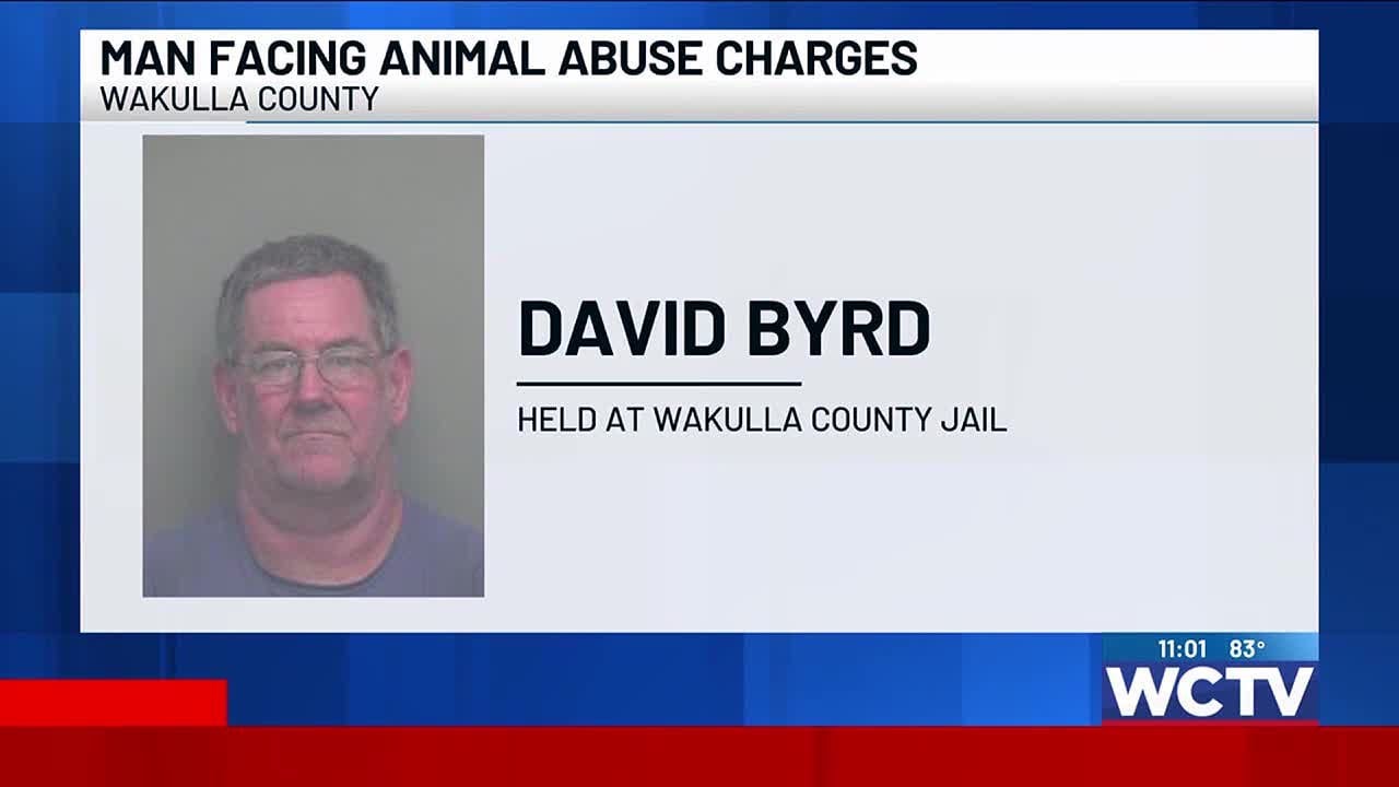 WCSO: Wakulla County man charged with animal abuse after ‘severely ...
