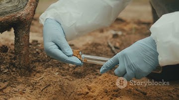 Shallow Foundation and Soil Improvement (BFC 43103: Foundation Engineering) (Group 6)