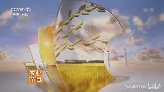 CCTV7 (China Central Television) ident 2013 - 2019